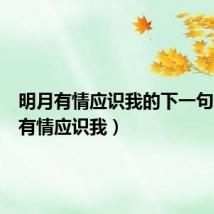 明月有情应识我的下一句(明月有情应识我)