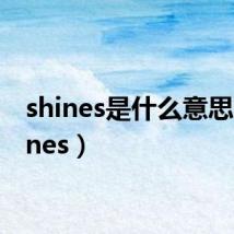 shines是什么意思(shines)