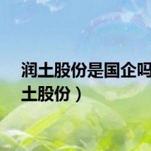 润土股份是国企吗（润土股份）