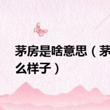 茅房是啥意思（茅房什么样子）