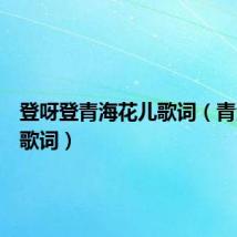登呀登青海花儿歌词(青海花儿歌词)