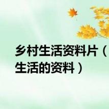 乡村生活资料片（乡村生活的资料）