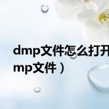 dmp文件怎么打开?(dmp文件)