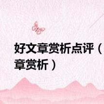好文章赏析点评（好文章赏析）