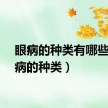 眼病的种类有哪些（眼病的种类）