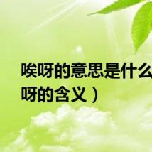 唉呀的意思是什么（唉呀的含义）