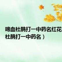 啼血杜鹃打一中药名红花(啼血杜鹃打一中药名)