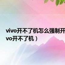 vivo开不了机怎么强制开机(vivo开不了机)