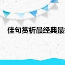 佳句赏析最经典最短