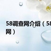 58调查网介绍（58调查网）