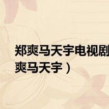 郑爽马天宇电视剧（郑爽马天宇）