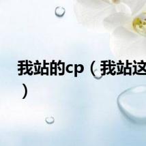 我站的cp（我站这对cp）