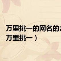 万里挑一的网名的含义（万里挑一）