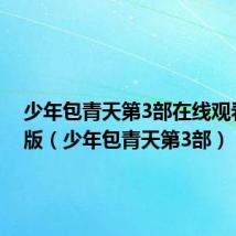 少年包青天第3部在线观看完整版(少年包青天第3部)
