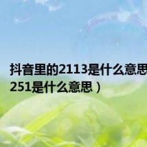 抖音里的2113是什么意思(抖音251是什么意思)