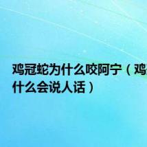鸡冠蛇为什么咬阿宁(鸡冠蛇为什么会说人话)
