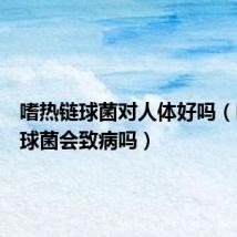 嗜热链球菌对人体好吗(嗜热链球菌会致病吗)