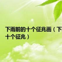 下雨前的十个征兆画(下雨前的十个征兆)