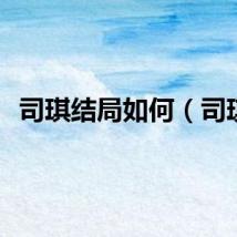 司琪结局如何（司琪）