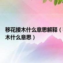 移花接木什么意思解释(移花接木什么意思)