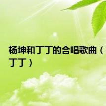 杨坤和丁丁的合唱歌曲(杨坤和丁丁)