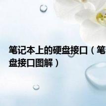 笔记本上的硬盘接口(笔记本硬盘接口图解)