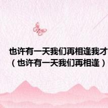 也许有一天我们再相逢我才是英雄(也许有一天我们再相逢)