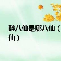 醉八仙是哪八仙（醉八仙）