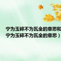 宁为玉碎不为瓦全的意思和出处(宁为玉碎不为瓦全的意思)
