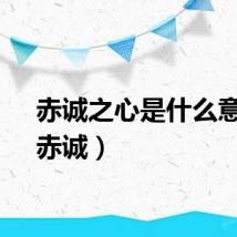 赤诚之心是什么意思（赤诚）
