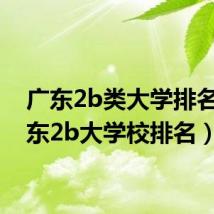 广东2b类大学排名(广东2b大学校排名)
