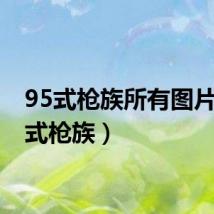 95式枪族所有图片(95式枪族)