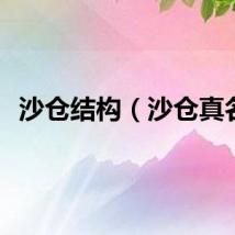 沙仓结构（沙仓真名）