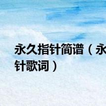 永久指针简谱（永久指针歌词）