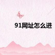91网址怎么进