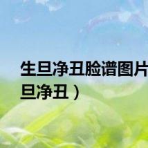 生旦净丑脸谱图片（生旦净丑）