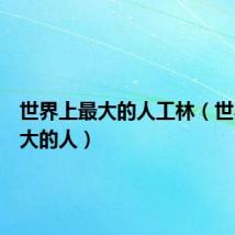 世界上最大的人工林(世界上最大的人)