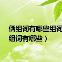 俩组词有哪些组词（俩组词有哪些）