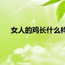 女人的鸡长什么样