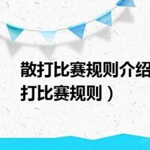 散打比赛规则介绍（散打比赛规则）