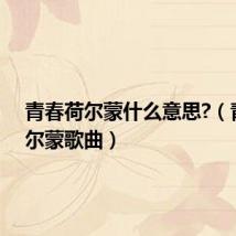 青春荷尔蒙什么意思?(青春荷尔蒙歌曲)