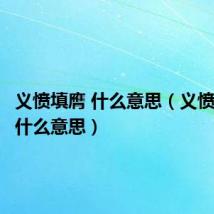 义愤填膺 什么意思(义愤填膺是什么意思)