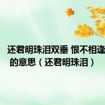 还君明珠泪双垂 恨不相逢未嫁时 的意思(还君明珠泪)