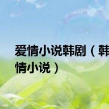 爱情小说韩剧（韩国爱情小说）