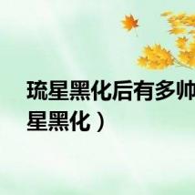 琉星黑化后有多帅（琉星黑化）