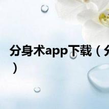 分身术app下载（分身术）