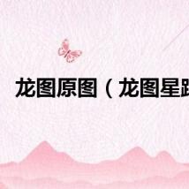 龙图原图（龙图星踪）