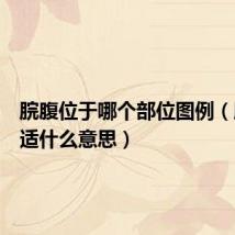 脘腹位于哪个部位图例(脘腹不适什么意思)