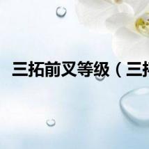 三拓前叉等级（三拓）