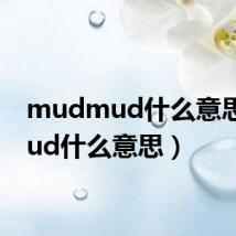 mudmud什么意思(mud什么意思)